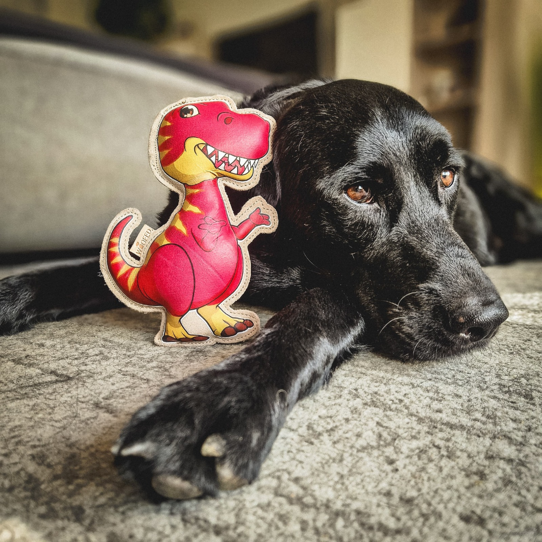 Hundespielzeug Dinosaurier "Dino"
