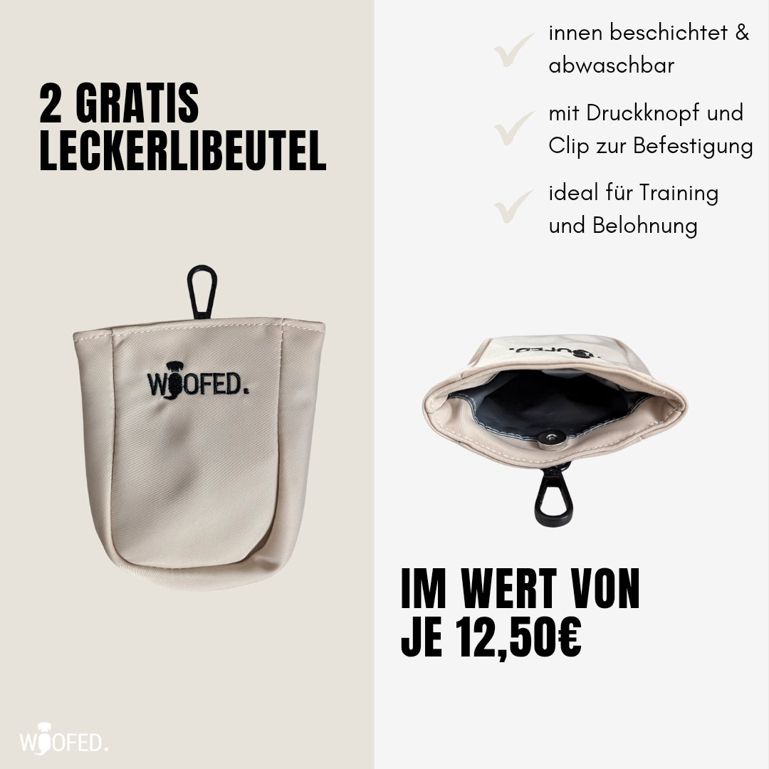 Multifunktionale Gassitasche - 2 in 1 Bauchtasche & Schultertasche Beige