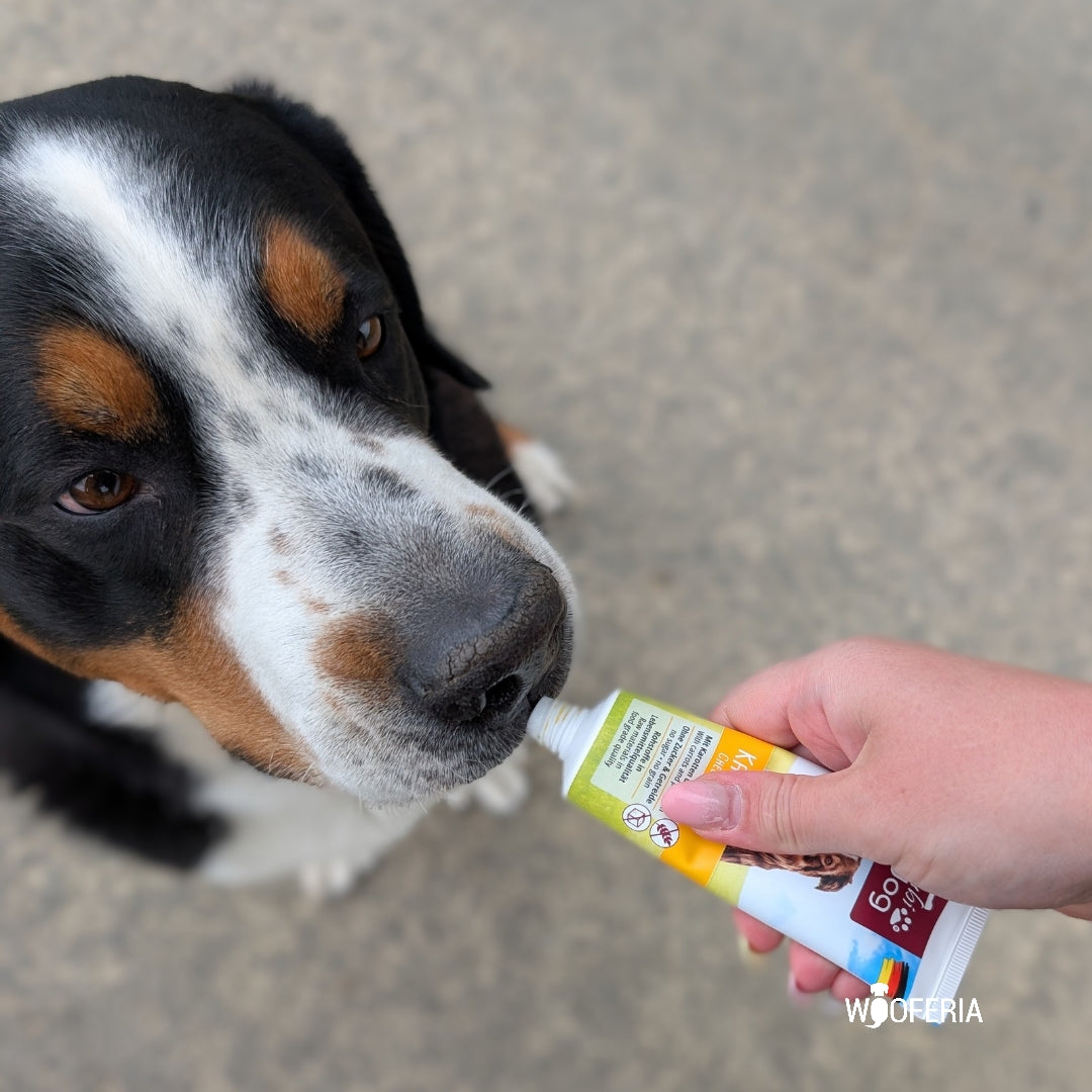 Tubidog Schlecktube Käse Creme für Hunde als Belohnung