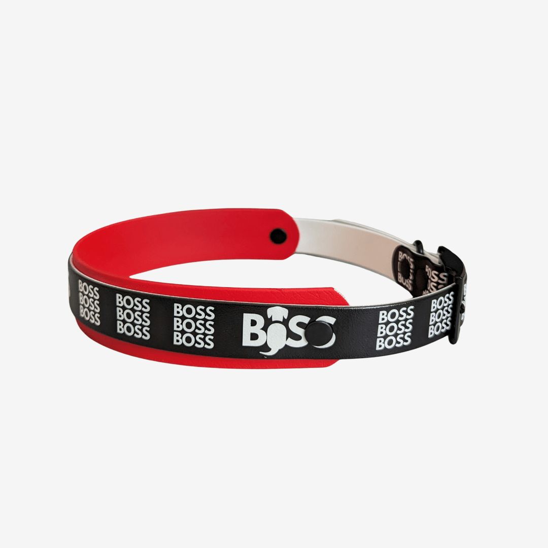 UV Biothane Halsband Boss - WOOFED.