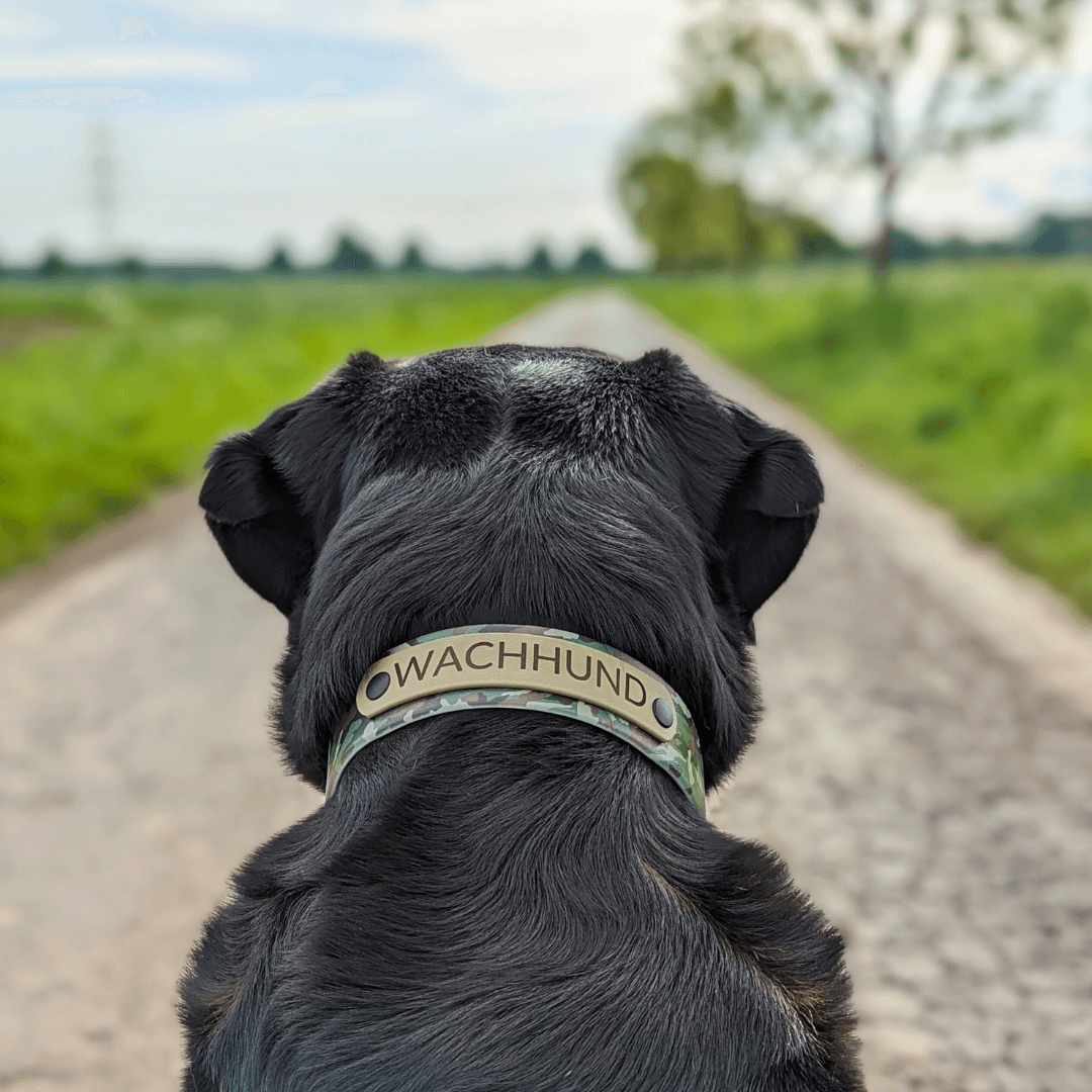 UV Biothane Halsband Green Camo - WOOFED.