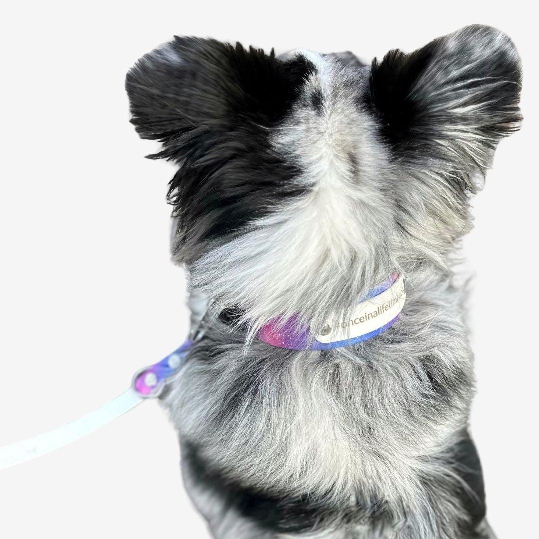 UV Biothane Halsband Galaxy - WOOFED.