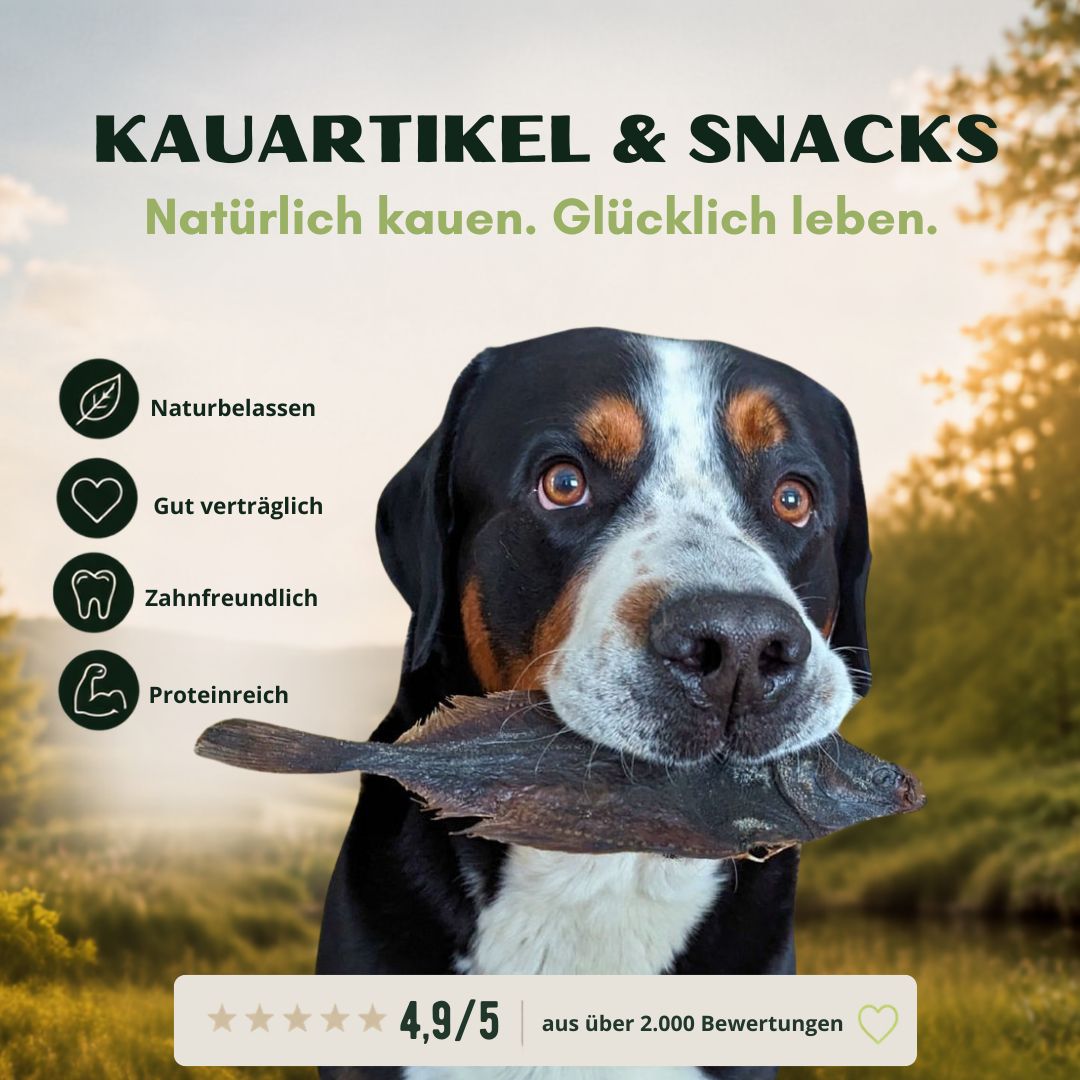 WOOFED natürliche Kauartikel und Snacks für Hunde - großer Hund mit Flunder