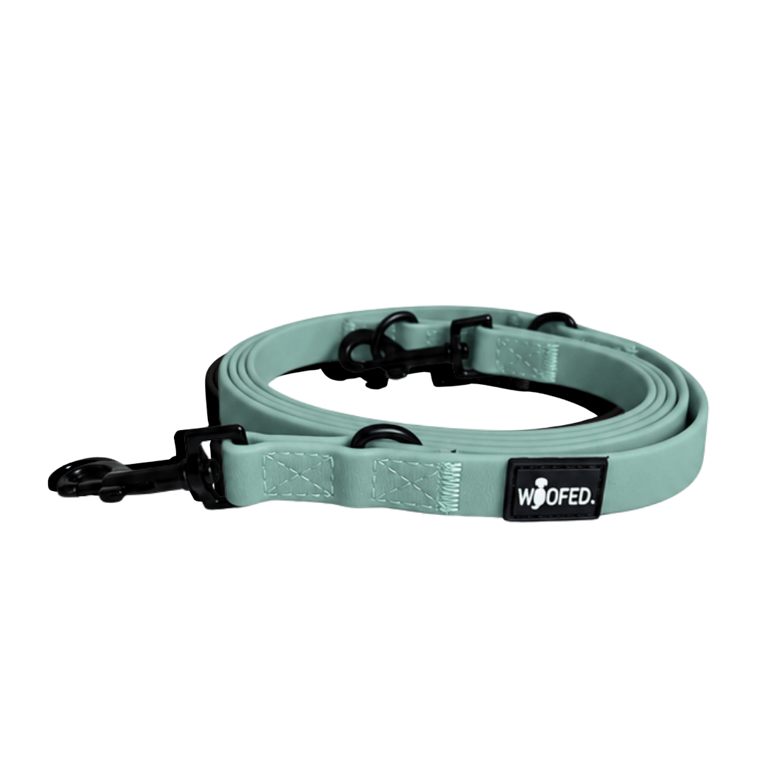 Führleine WOOFLEX® Classic verstellbar Jade Green