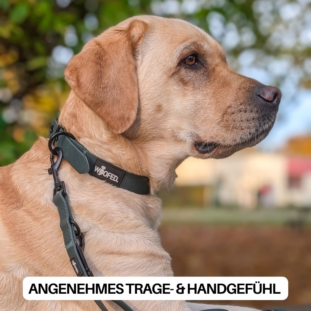 Führleine WOOFLEX® Classic verstellbar Hunting Green