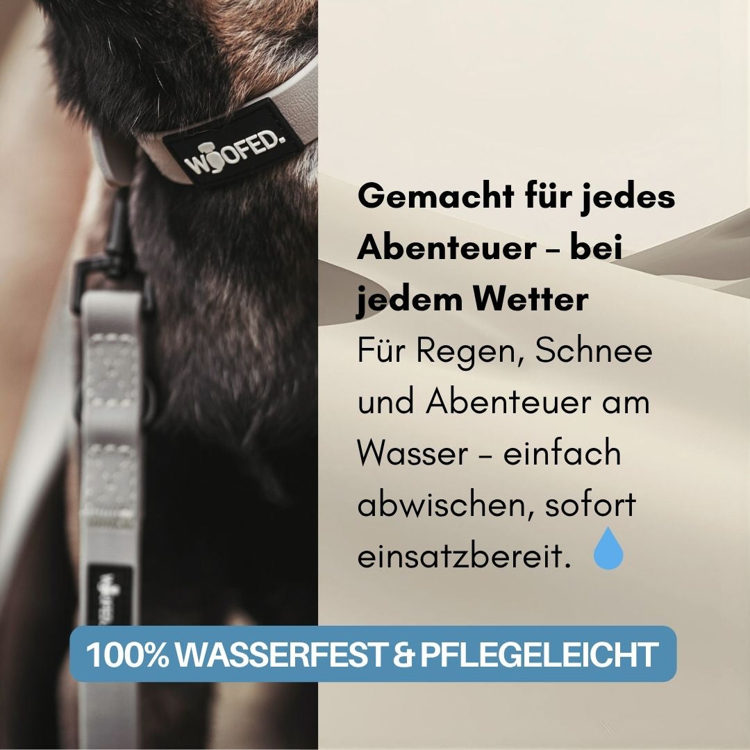 Nahaufnahme sandfarbener, verstellbarer WOOFLEX-Führleine mit Bolzenkarabiner und Logo-Patch an Hundehals, seitliche Ansicht