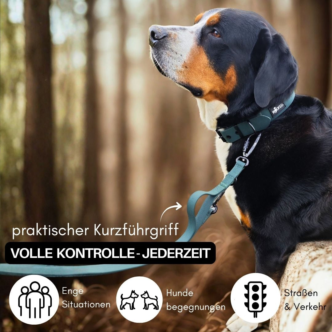 WOOFLEX Führleine Hunting Green, verstellbar mit Kurzführgriff und Karabiner, seitliche Ansicht an tricolor Hund im Wald