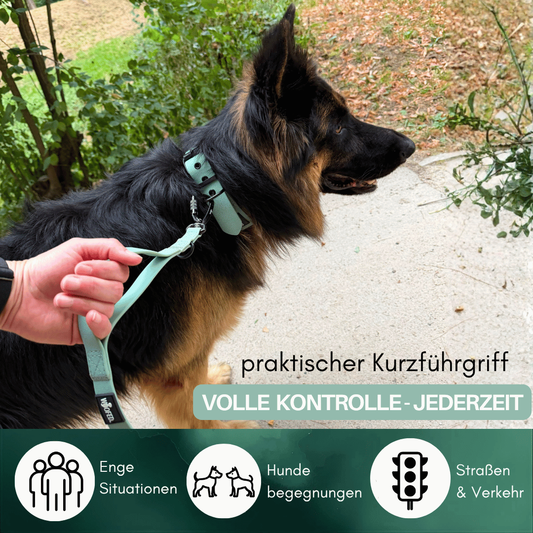 Führleine WOOFLEX® Pro verstellbar Jade Green