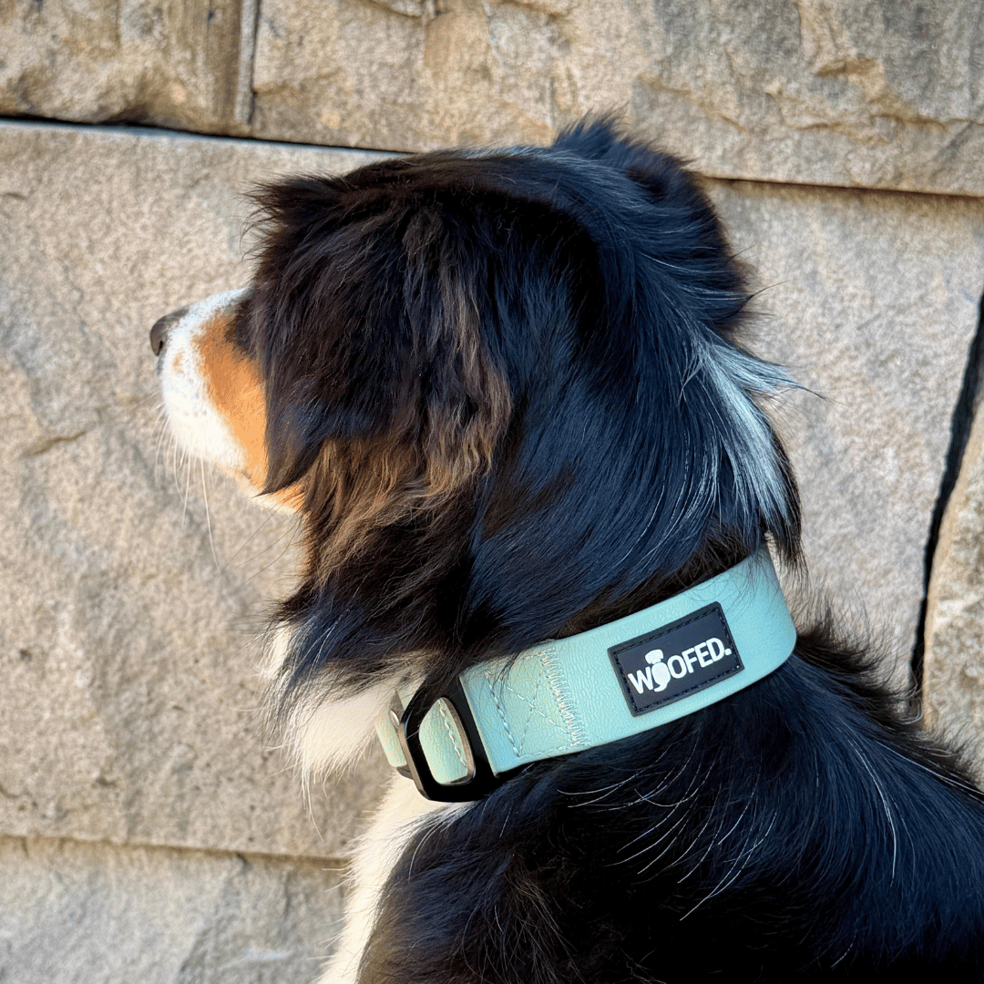 Halsband WOOFLEX® Tactical verstellbar ohne Griff Jade Green