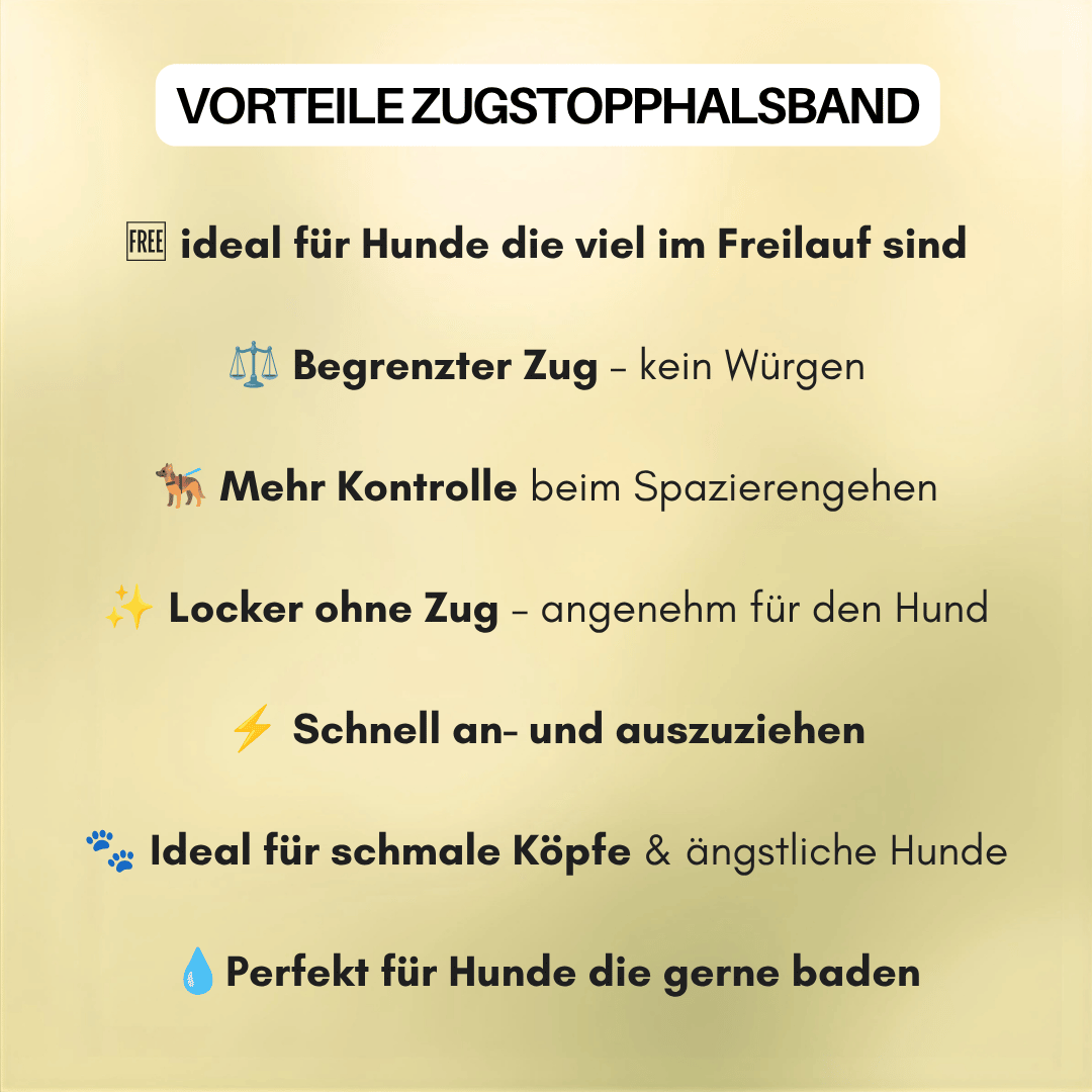 Zugstopphalsband WOOFLEX® Lemon Grass