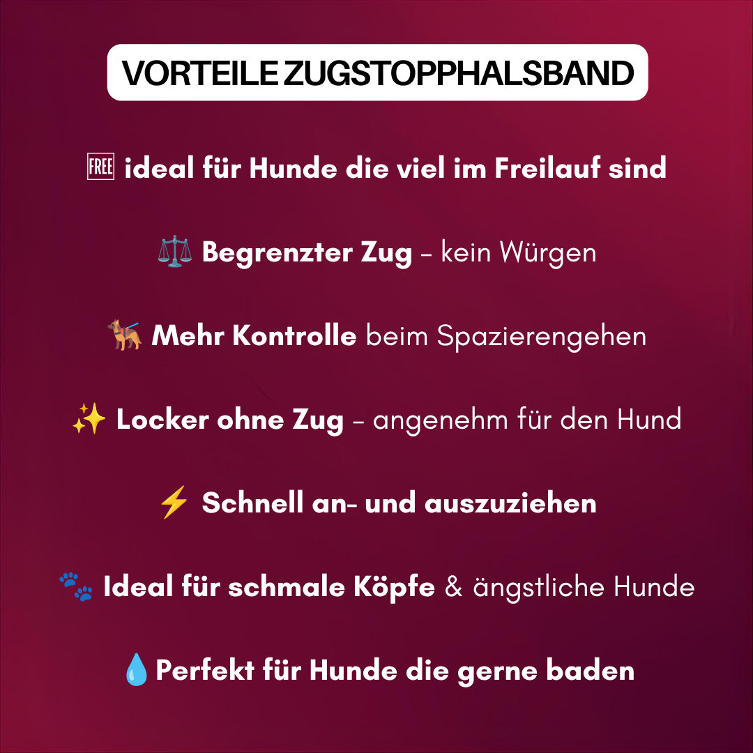 Zugstopphalsband WOOFLEX® Burgundy
