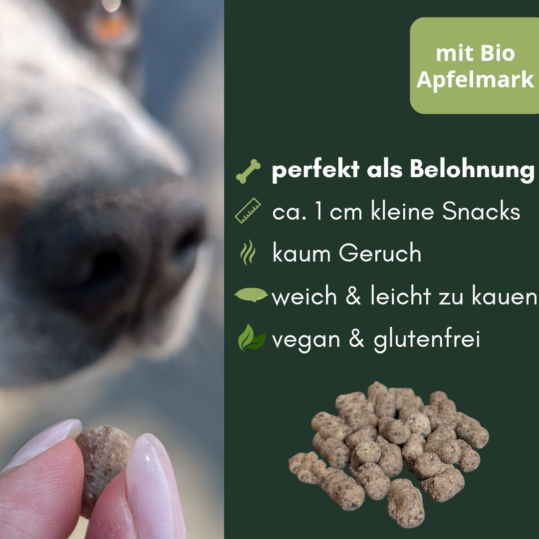 Hand hält hellbraunen, ca. 1 cm großen Apfel‑Kokos‑Softie vor verschwommener Hundenase; rechts Stapel Snacks und Hinweis 'mit