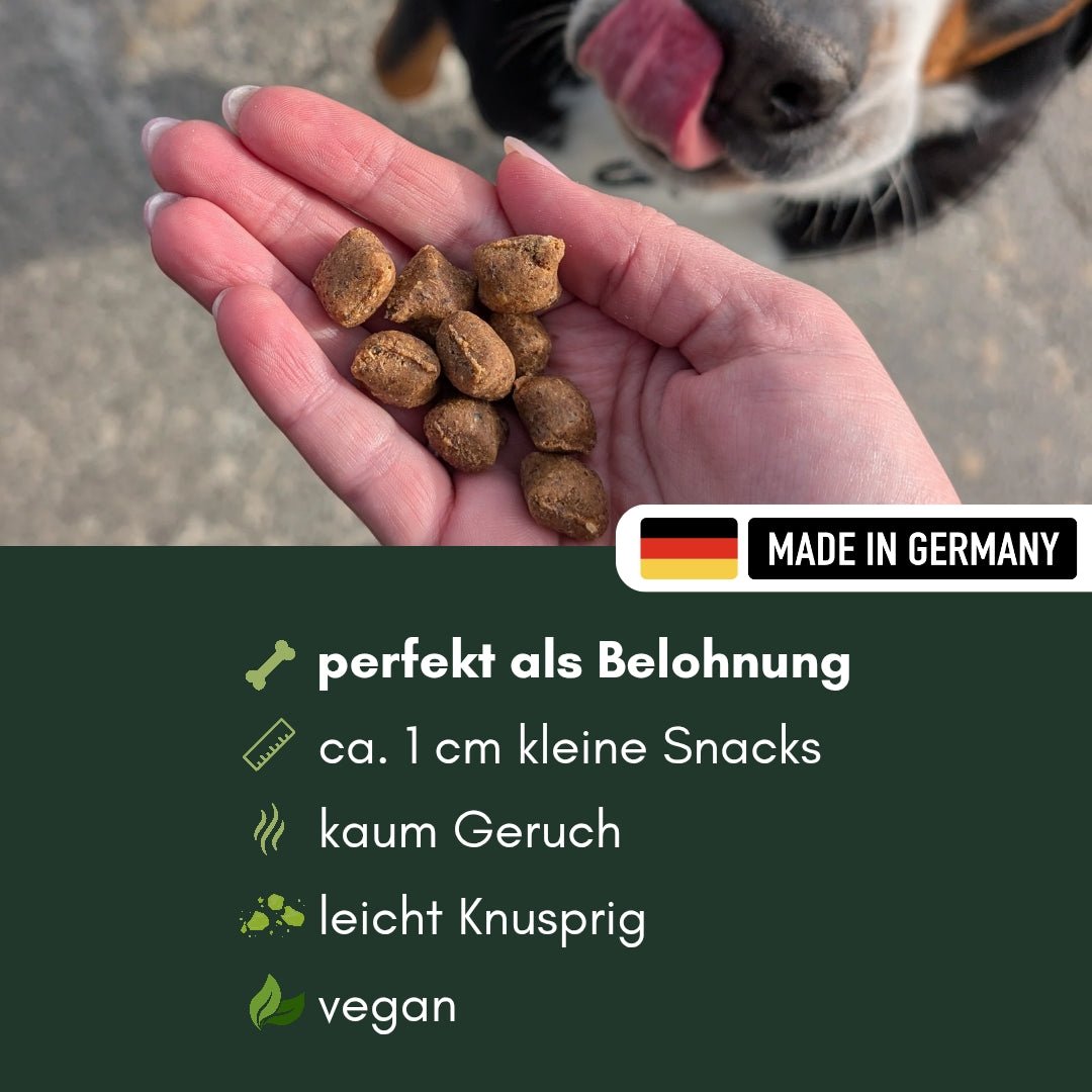 Hand hält mehrere kleine braune runde Früchte Kissen, Hundeschnauze mit herausgestreckter Zunge im Hintergrund