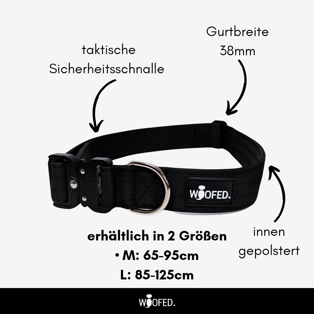 Schwarzer verstellbarer Gassigürtel, schräg frontal gezeigt, taktische Schnalle, Metall-D‑Ring, gepolsterte Innenseite und WØ