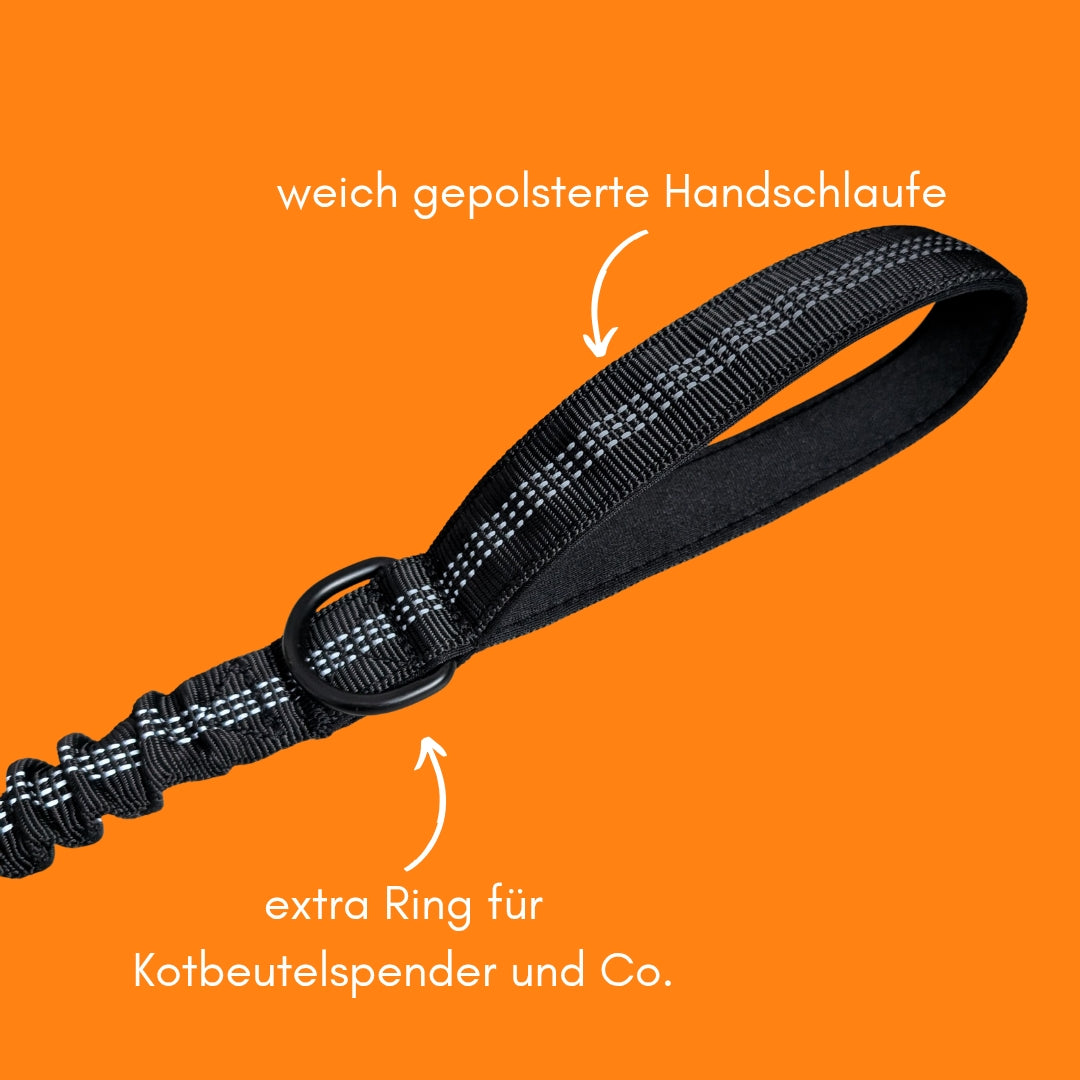 Schwarze Jogging- und Wanderleine, Nahaufnahme gepolsterter Handschlaufe mit reflektierenden Nähten und D‑Ring