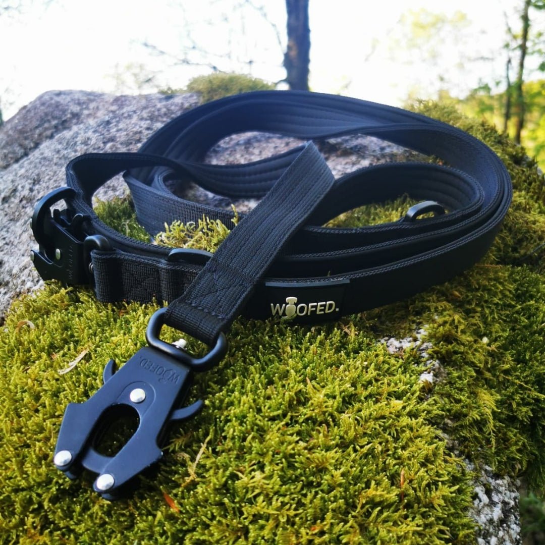 Nahaufnahme einer schwarzen taktischen Nylon‑Führleine mit Froschkarabiner und WOOFED‑Logo auf moosigem Felsen