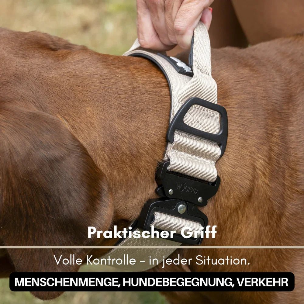 Nahaufnahme desert-tan Nylonhalsband mit schwarzem Metallverschluss und integriertem Kurzgriff, Hand hält Griff