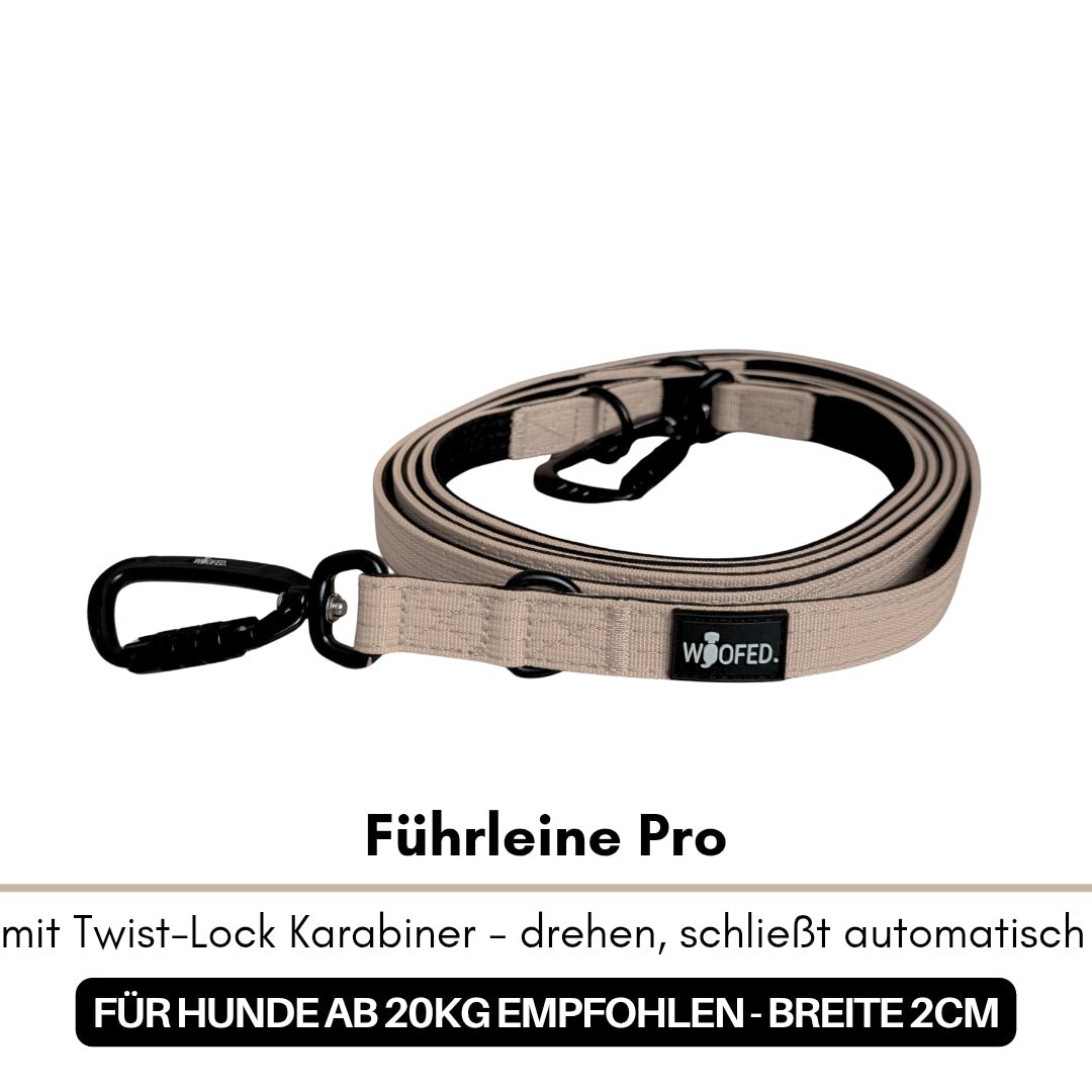 Aufgerollte Führleine Pro Desert Tan, flaches Nylonband mit schwarzem Twist-Lock-Karabiner, schräge Draufsicht