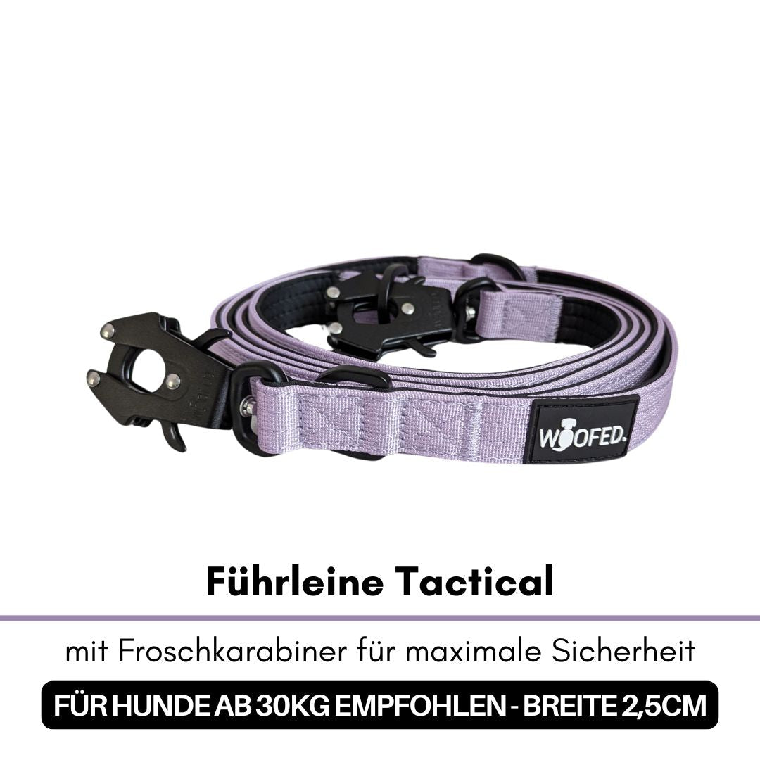 Gefaltete lilafarbene Tactical-Hundeleine mit schwarzem Froschkarabiner und WOOFED-Label, seitliche Nahaufnahme