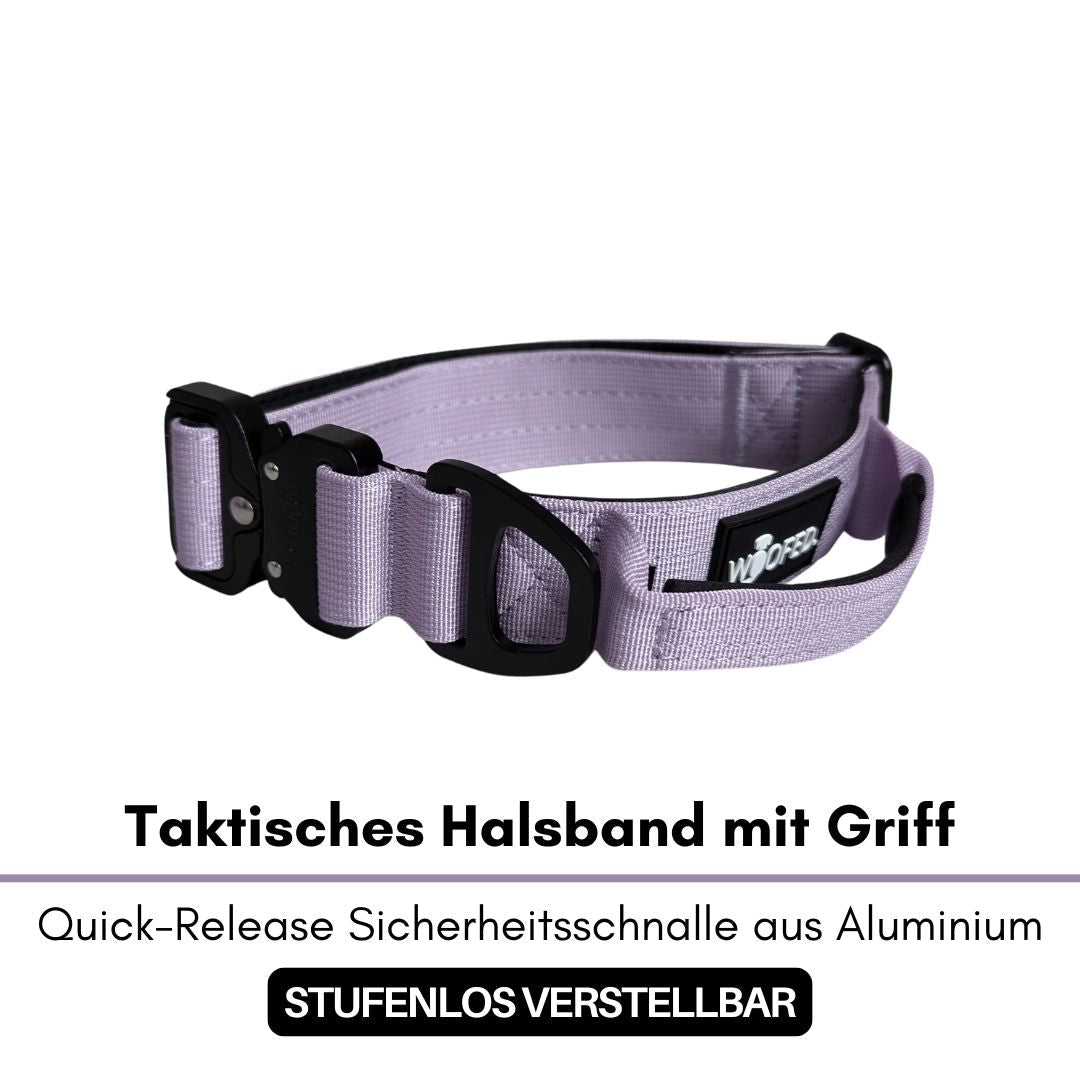 Fliederfarbenes Nylon-Halsband, schräge Vorderansicht mit schwarzer Quick‑Release‑Metallschnalle, D‑Ring und integriertem Gr0