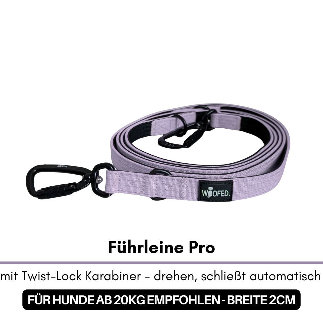 Aufgerollte lilafarbene Nylon-Führleine mit schwarzem Twist-Lock-Karabiner und WOOFED-Label