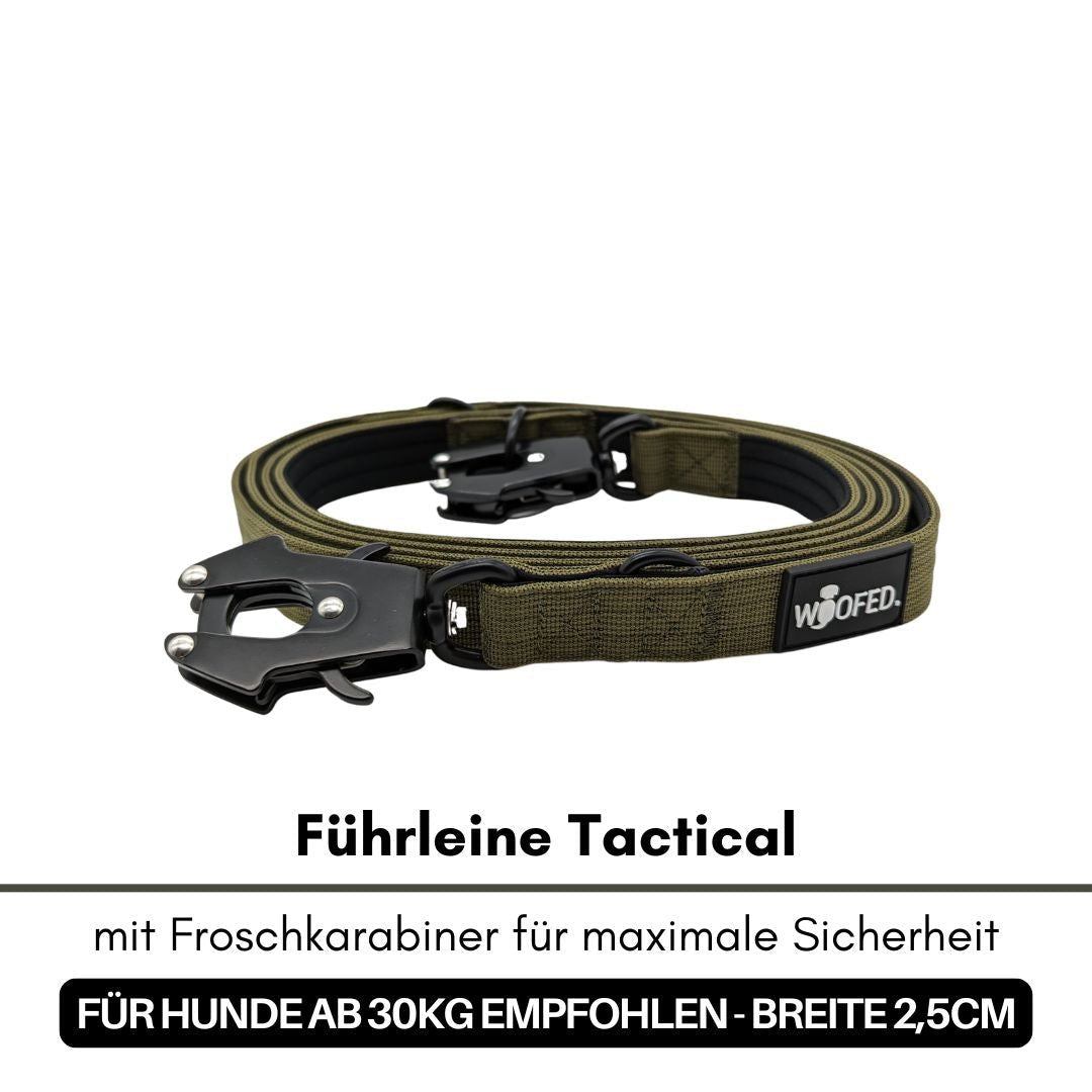 Olivegrüne, aufgerollte Tactical-Führleine mit schwarzem Froschkarabiner und WOOFED-Logo, Nahaufnahme