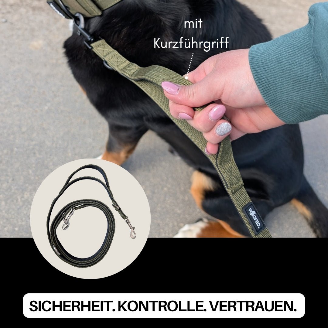 Hand mit rosa Nägeln hält olivgrünen Kurzführgriff einer Führleine am schwarzen Hund; Einlegebild zeigt aufgewickelte Leine