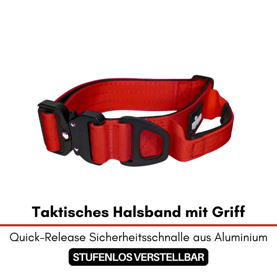 Rotes, gepolstertes Nylon-Halsband mit schwarzer Quick-Release-Schnalle und integriertem Griff, schräge Seitenansicht