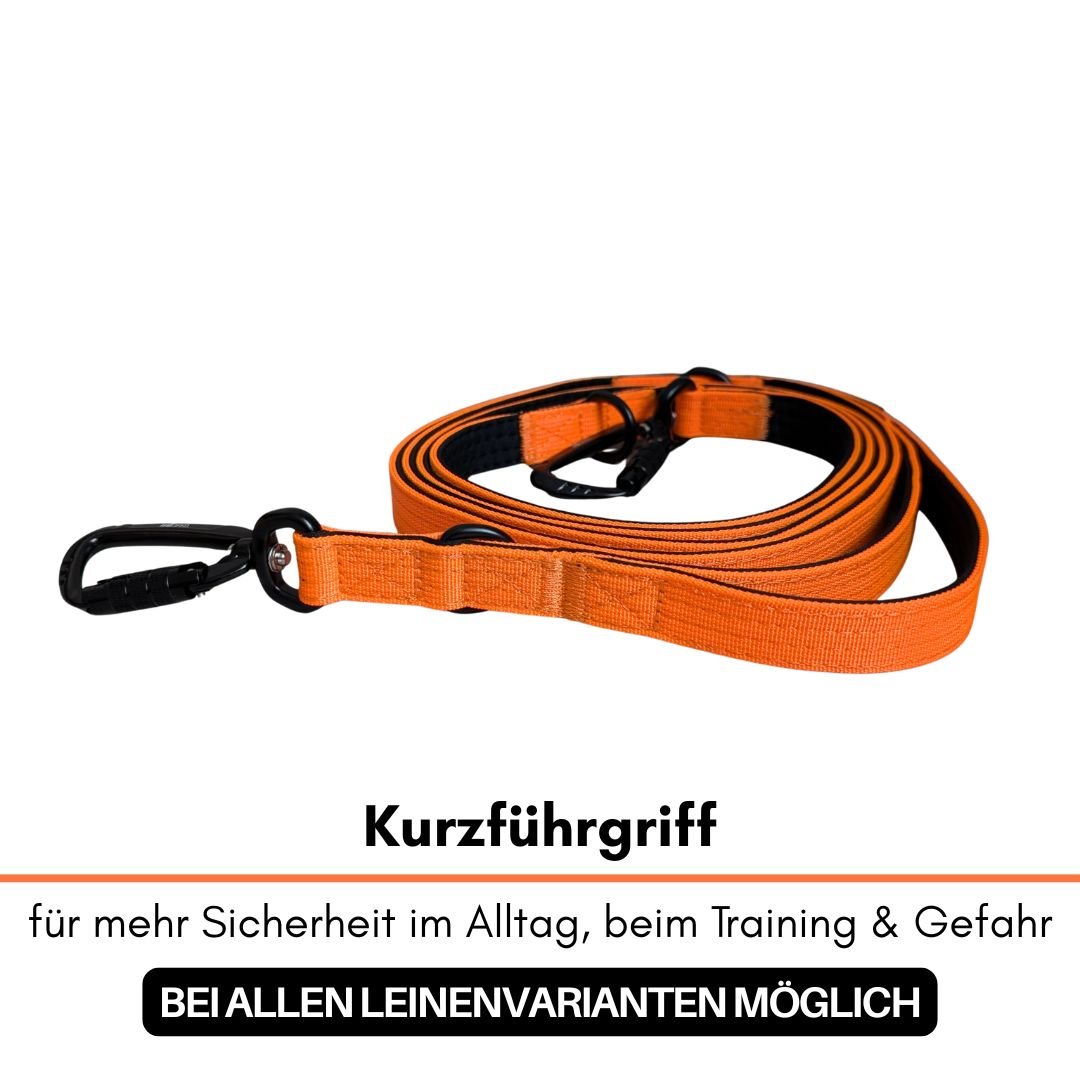Aufgerollte orange Leine mit schwarzem Karabiner und kurzem Führgriff auf weißem Hintergrund