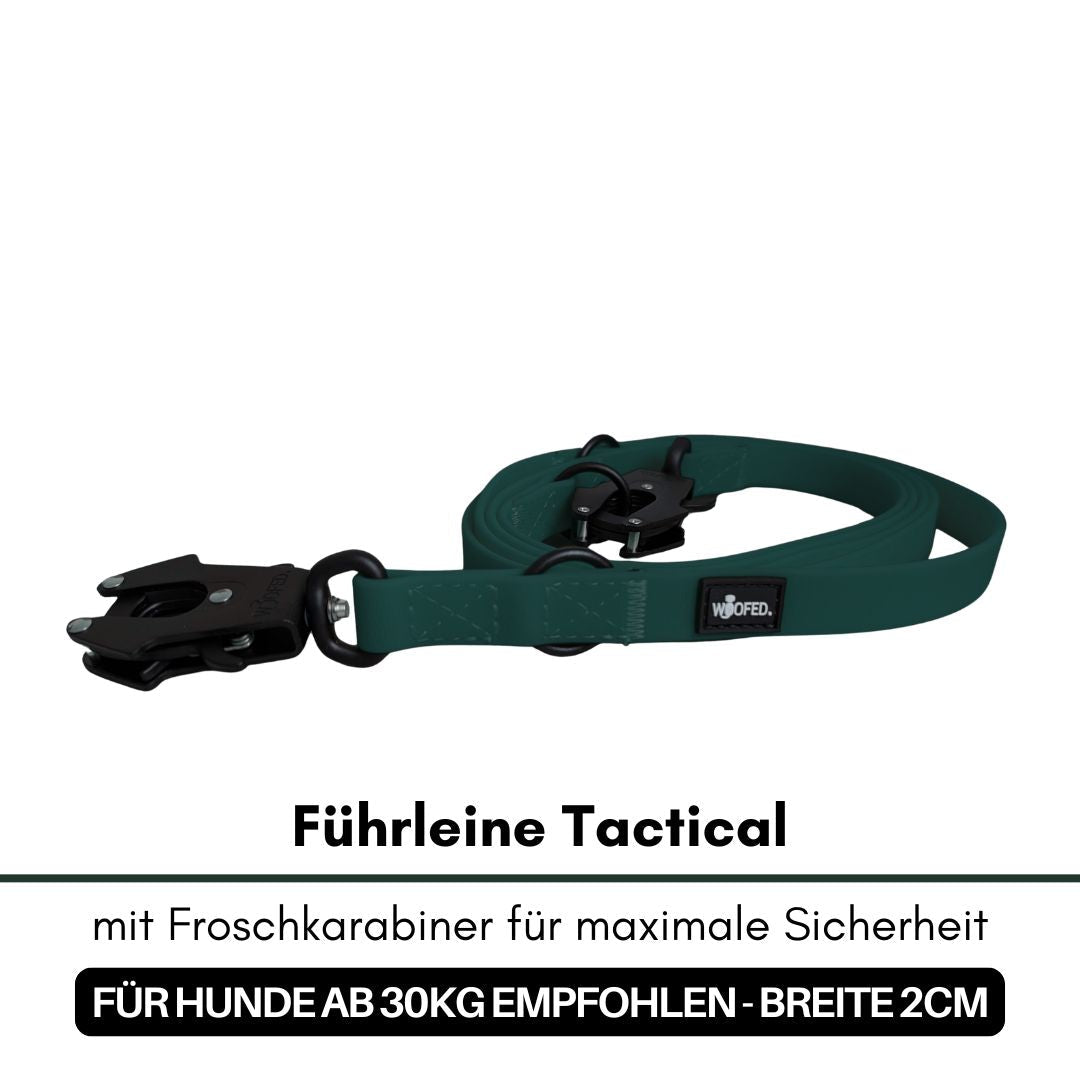 Dunkelgrüne flache Führleine, aufgerollt, mit schwarzem Froschkarabiner und WOOFED-Label