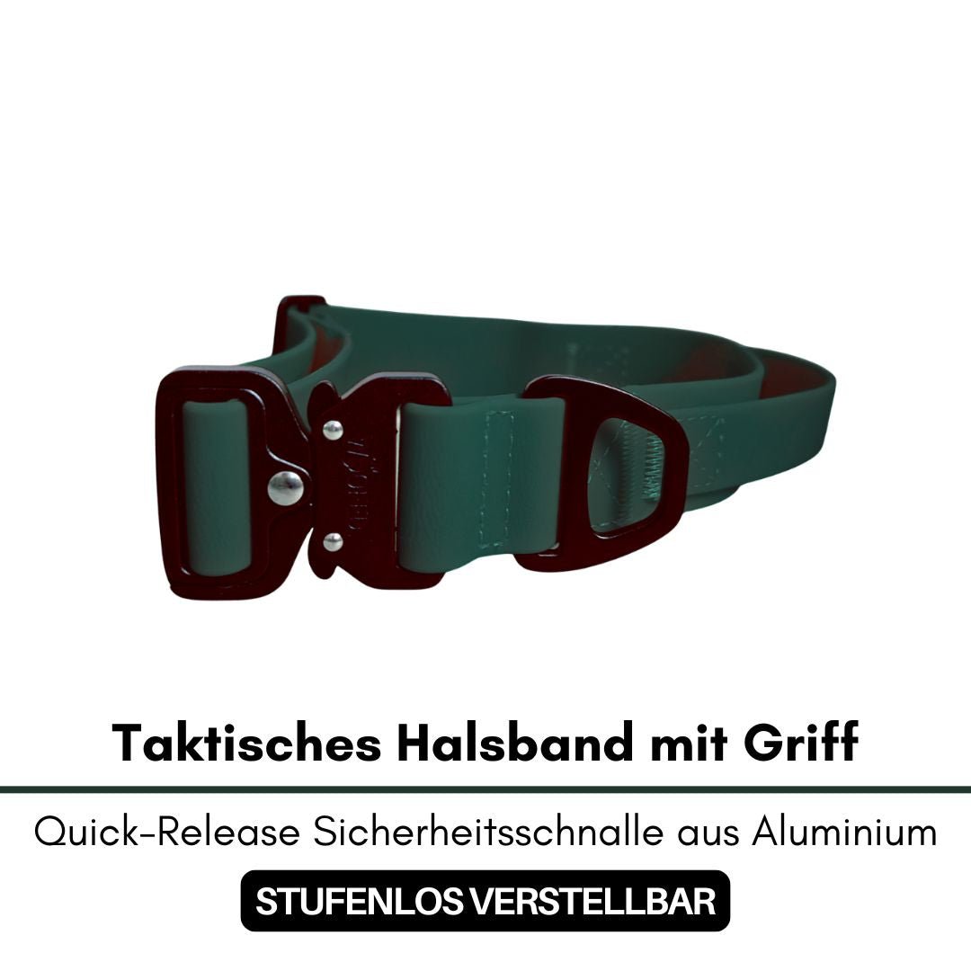 Taktisches Halsband in Hunting Green, Seitenansicht mit schwarzer Quick-Release-Schnalle und D-Ring