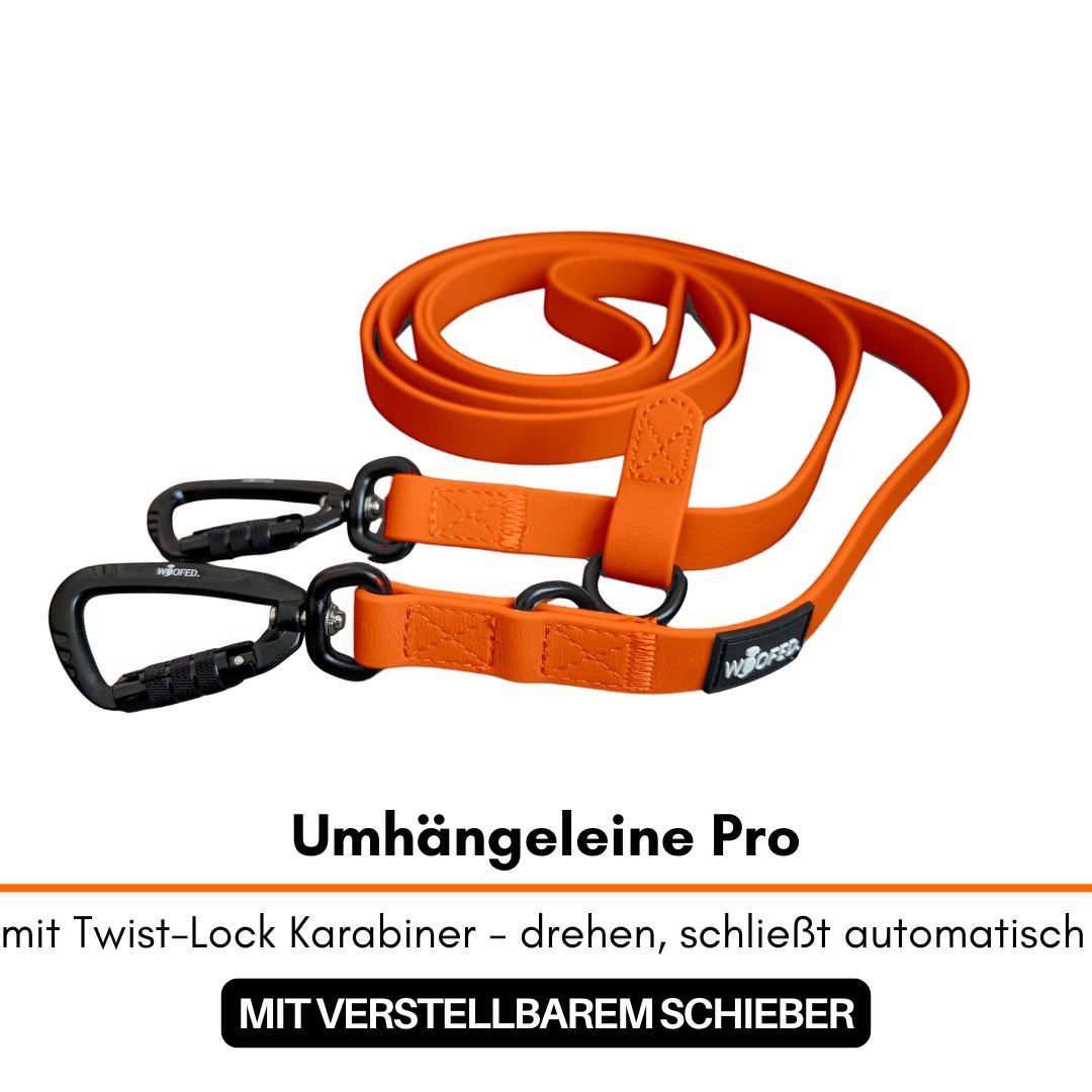 Orange WOOFLEX Umhängeleine Pro, aufgerollt, mit zwei schwarzen Twist-Lock-Karabinern und verstellbarem Schieber