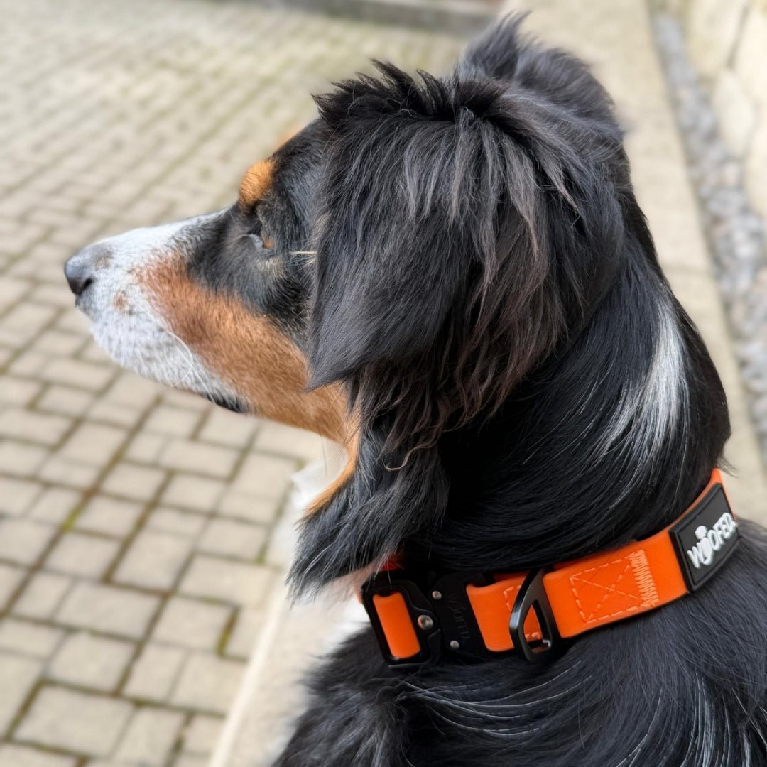 Halsband WOOFLEX® Tactical verstellbar ohne Griff Sunset Orange - WOOFED.