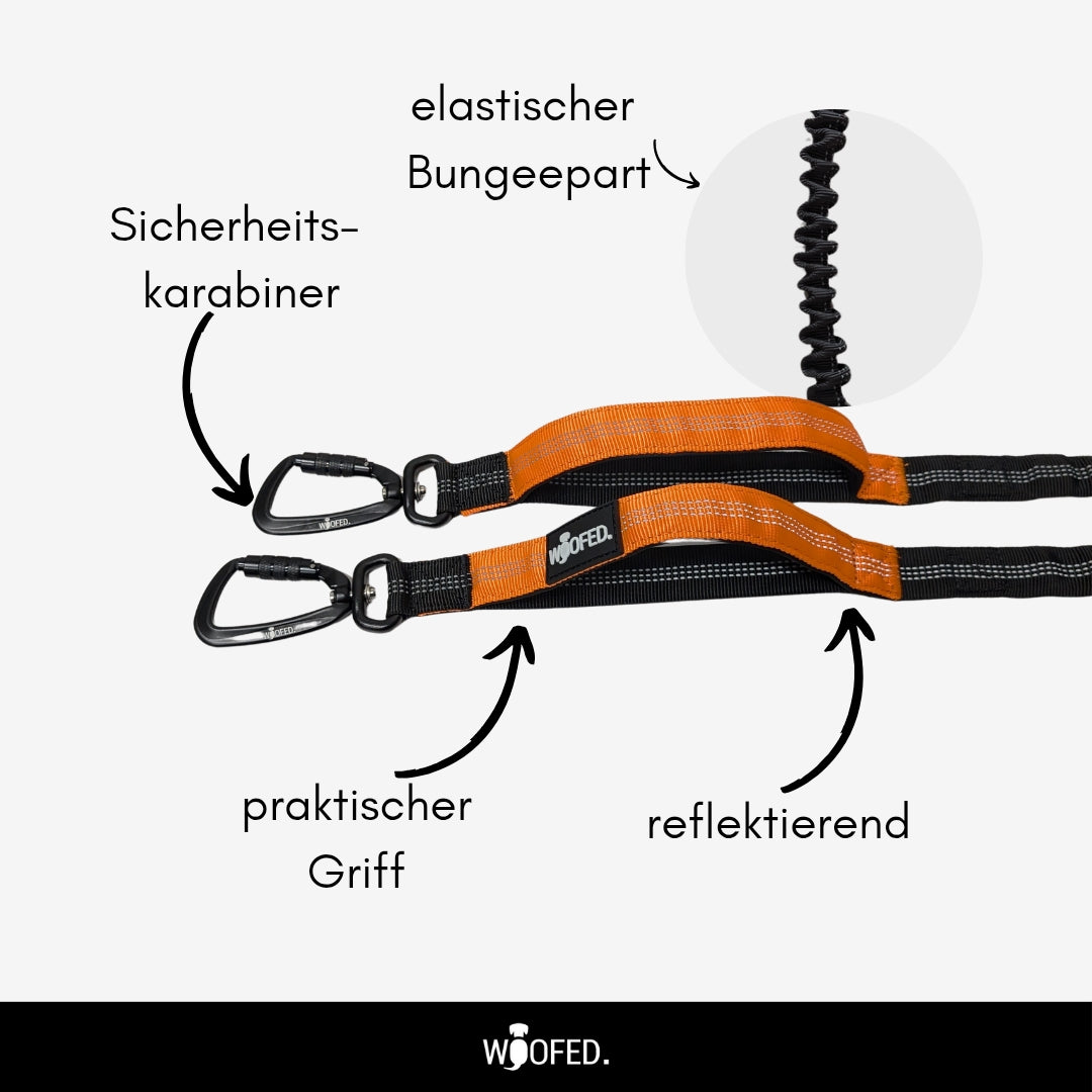 Detailansicht der reflektierenden Hundeleine mit elastischem Bungee-Seil, Sicherheitskarabinern und ergonomischem Griff fuer Outdoor-Aktivitaeten.