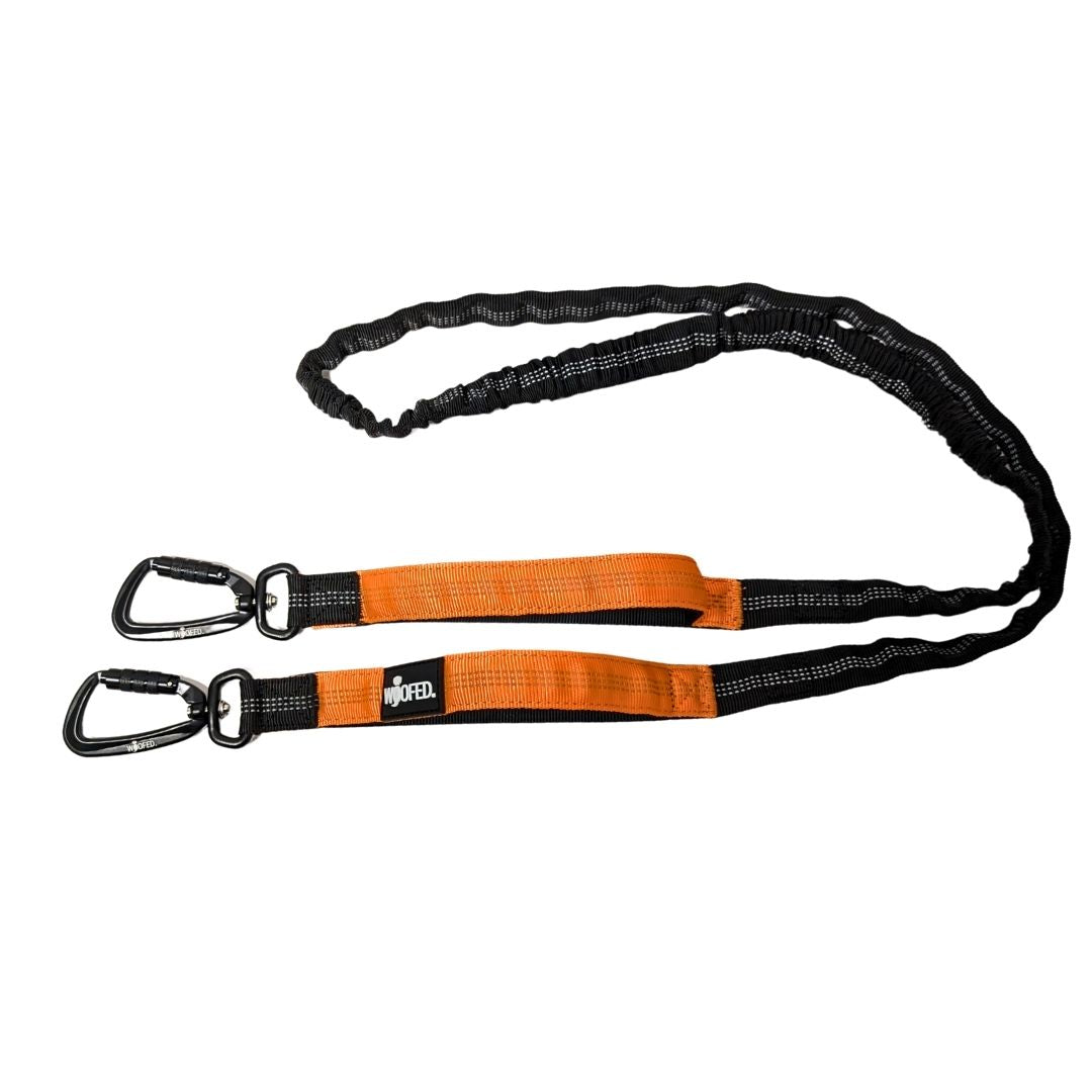Hochwertige Joggingleine fuer Hunde aus Nylon mit elastischem Bungee-Ruckdaempfer, beidseitigem Griff und Sicherheitskarabinern fuer Joggen und Wandern.