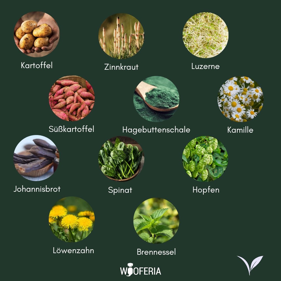 Elf runde Nahaufnahmen von Zutaten (Kartoffel, Süßkartoffel, Spinat, Kamille, Hopfen, Brennnessel) auf dunkelgrünem Hinterg