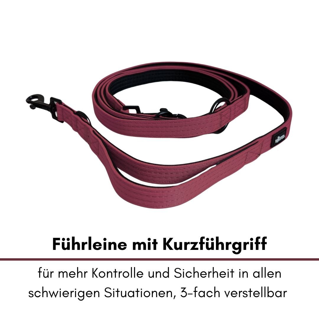 Nylon Classic Führleine Bordeaux - WOOFED.