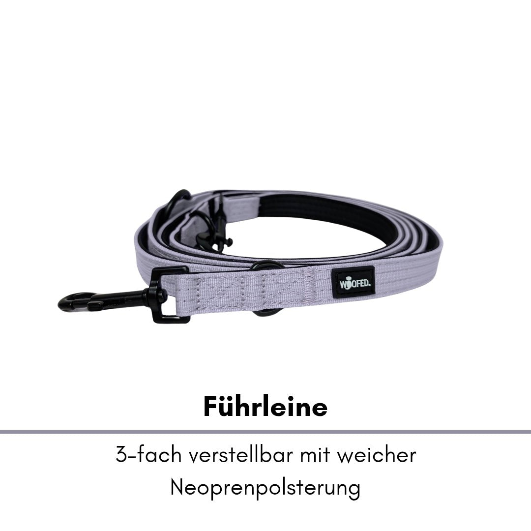 Aufgerollte lilafarbene Nylon-Führleine mit schwarzem Bolzenkarabiner und WOOFED-Label auf weißem Hintergrund