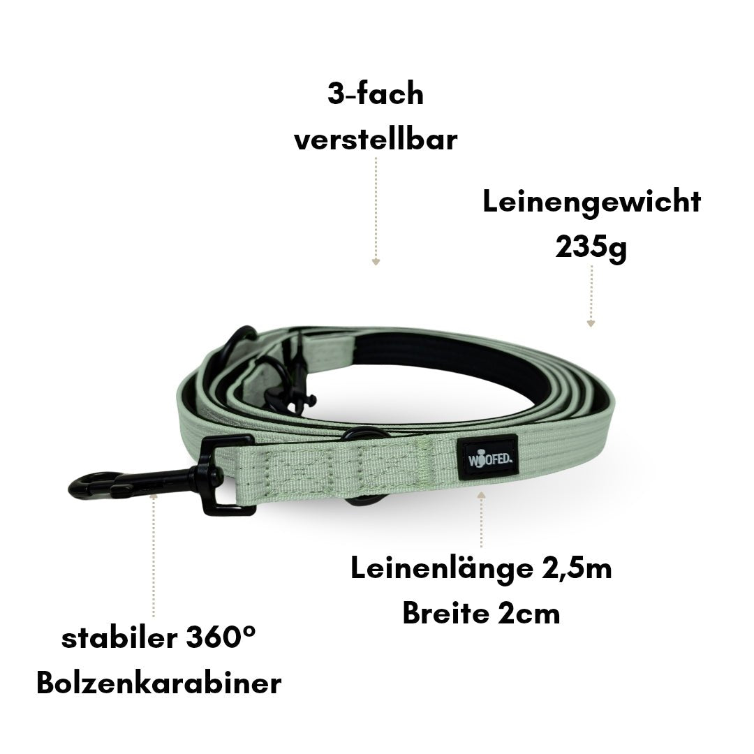Aufgerollte sagegrüne Nylon-Führleine mit schwarzem Bolzenkarabiner und WOOFED-Label, Draufsicht