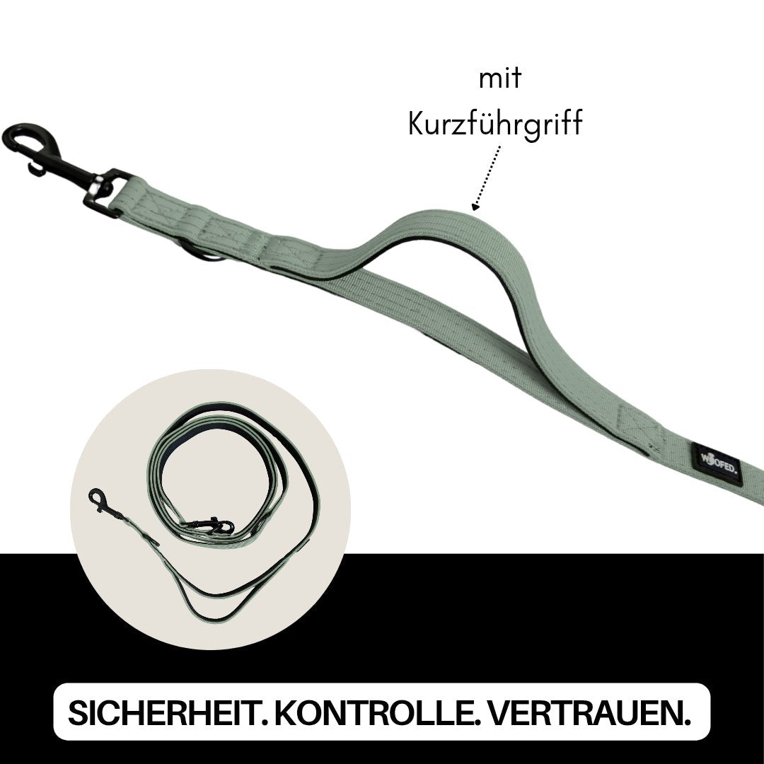 Sagegrüne Nylon-Führleine, Draufsicht mit gepolstertem Kurzführgriff, schwarzem Karabiner und kleinem Aufroll-Inset