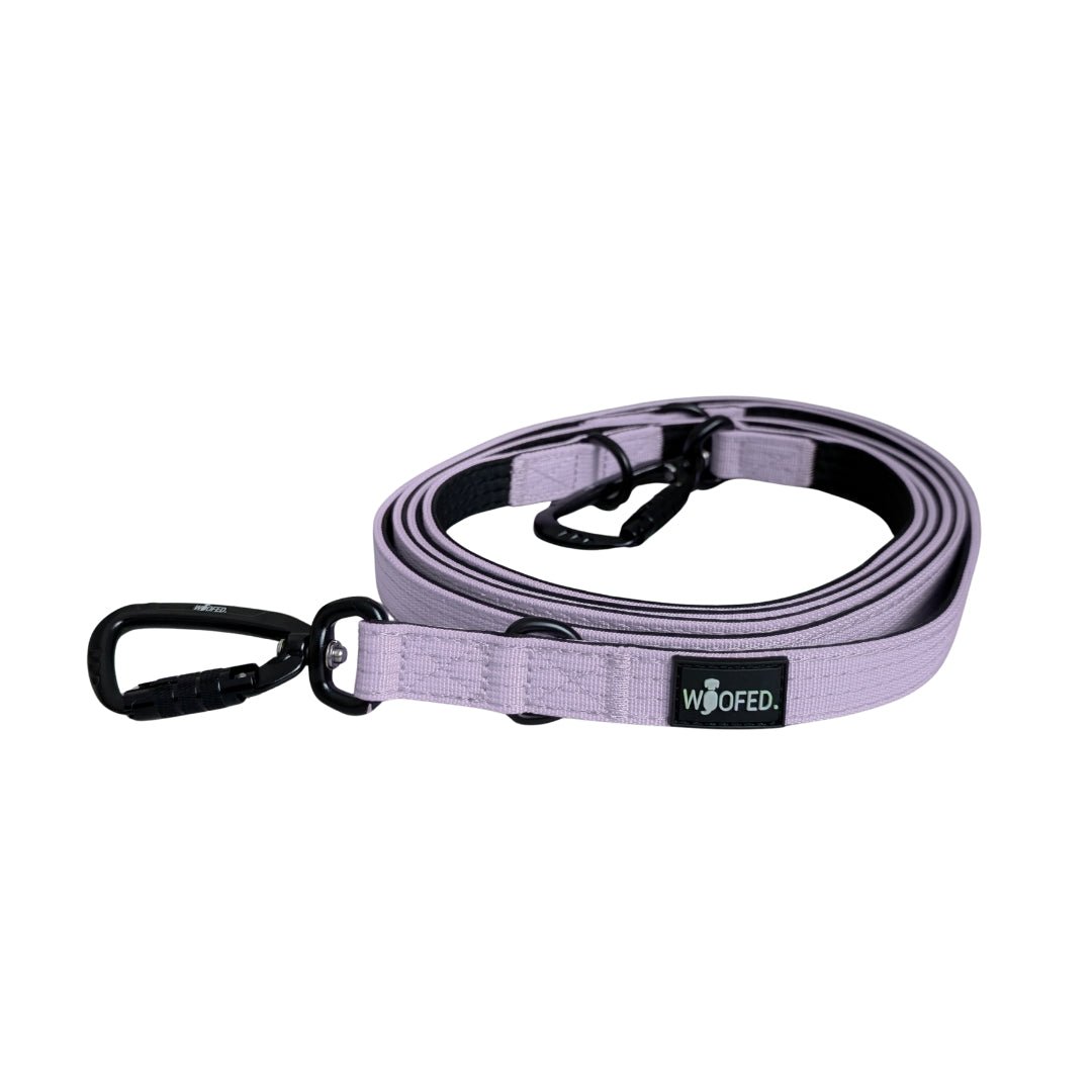 Nylon Pro Führleine Lilac - WOOFED.