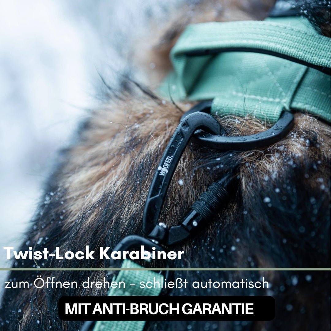 Nahaufnahme: schwarzer Twist-Lock-Karabiner an salbeigrüner Nylon-Führleine und Metallring, vor verschneitem Hundepelz