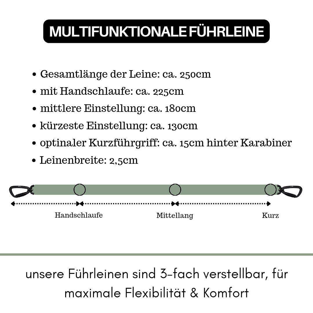 Sagegrüne, dreifach verstellbare Nylon-Führleine in Draufsicht mit zwei Karabinern und Längenmarkierungen