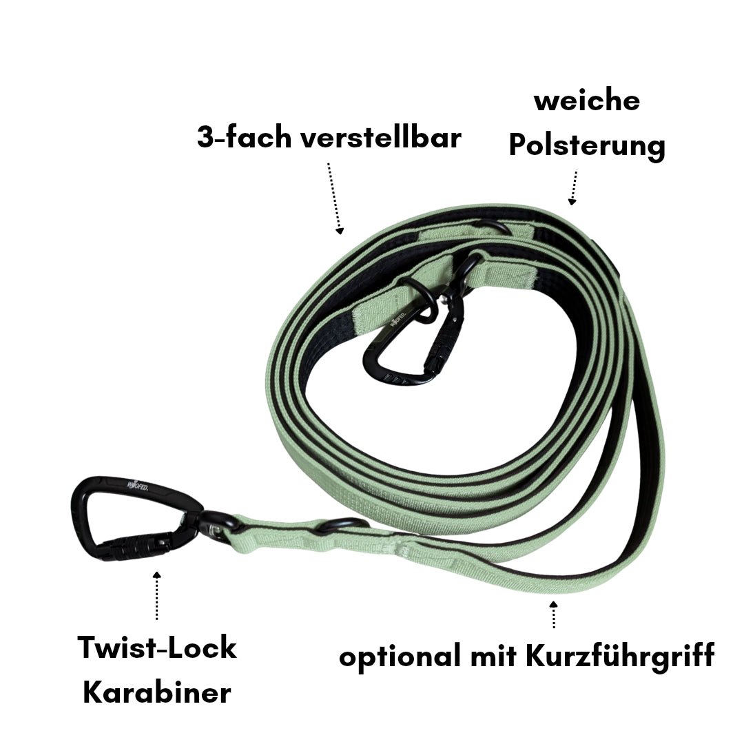 Aufgerollte salbeigrüne Hundeleine mit schwarzem Twist-Lock-Karabiner, gepolstertem Kurzführgriff, Draufsicht