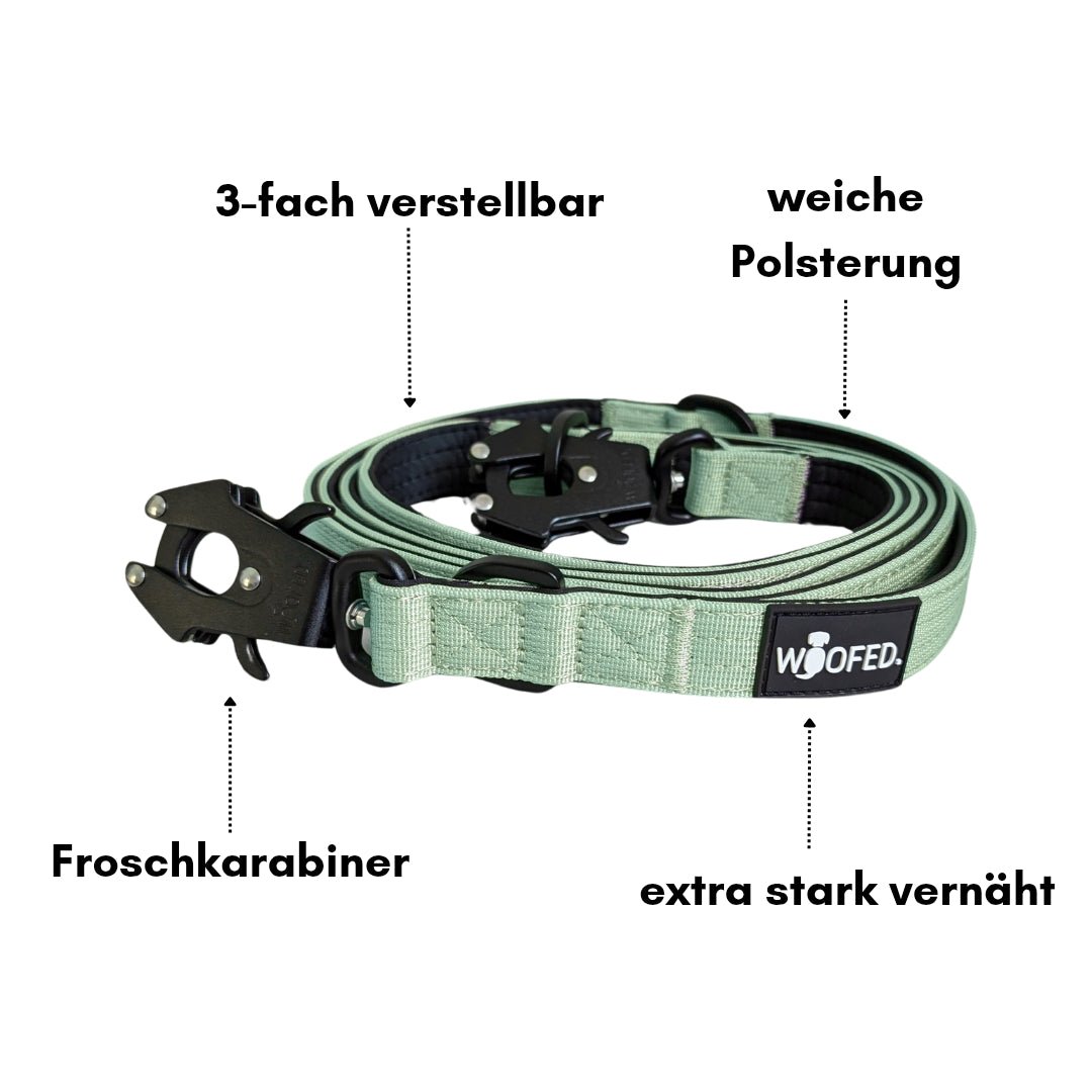 Aufgerollte salbeigrüne Nylon-Führleine mit schwarzem Froschkarabiner, weicher Neoprenpolsterung innen und WOOFED-Logo