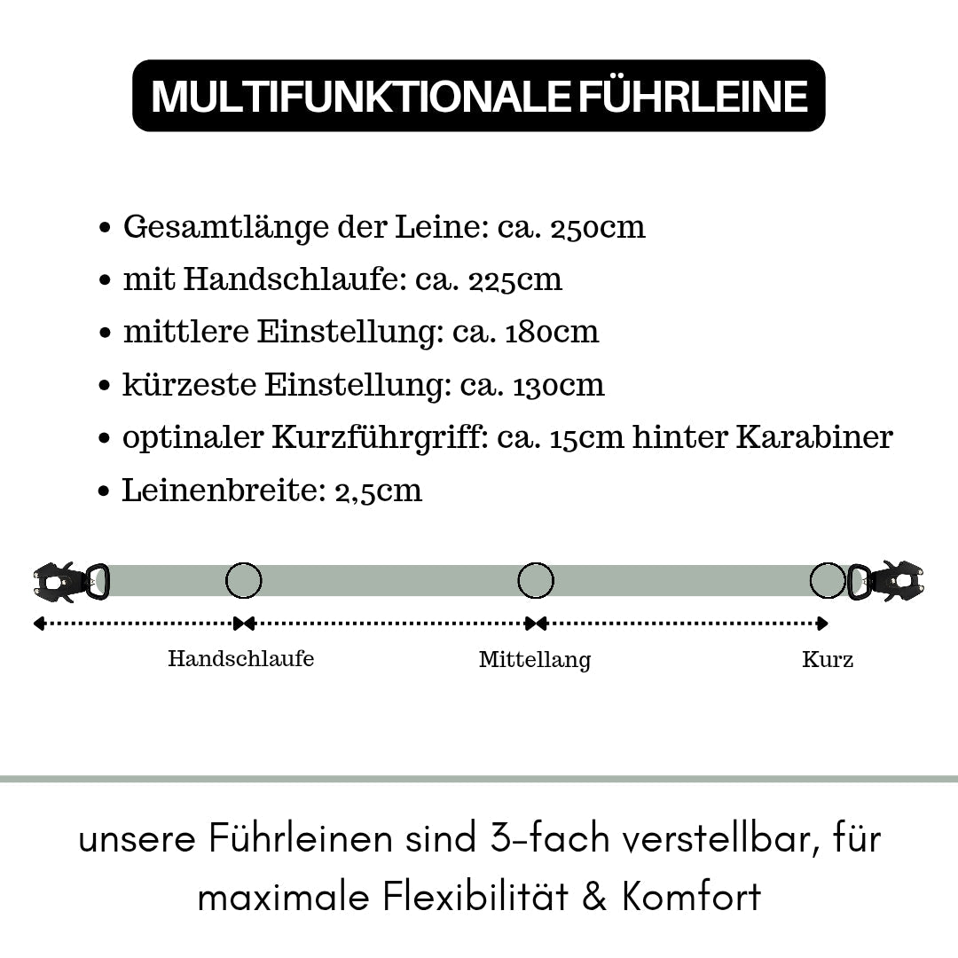 Schematische Infografik einer dreifach verstellbaren salbeigrünen Führleine mit Karabinern und Längenangaben