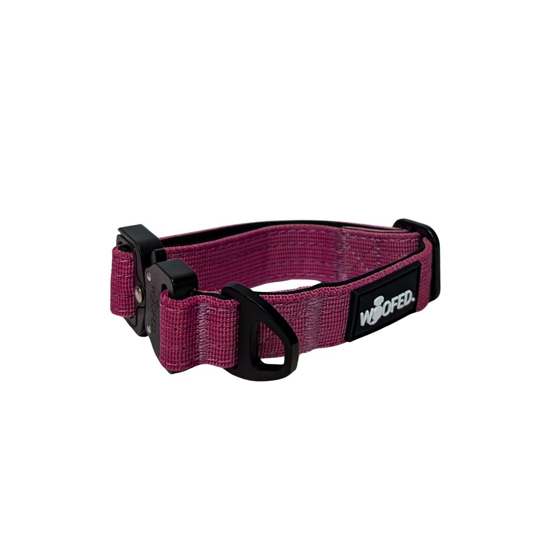 Nylon Tactical Halsband für kleine Hunde Bordeaux - WOOFED.