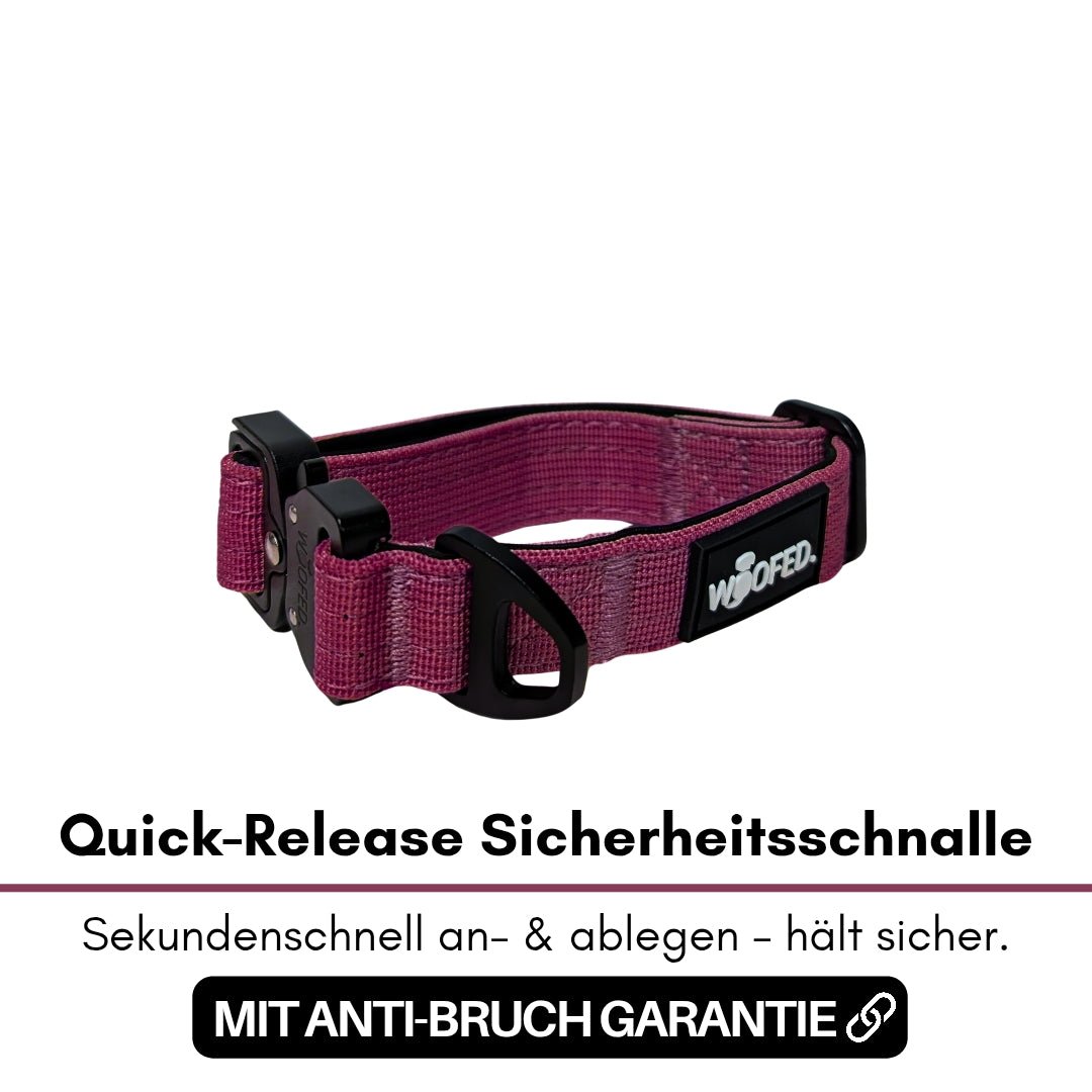 Nylon Tactical Halsband für kleine Hunde Bordeaux - WOOFED.