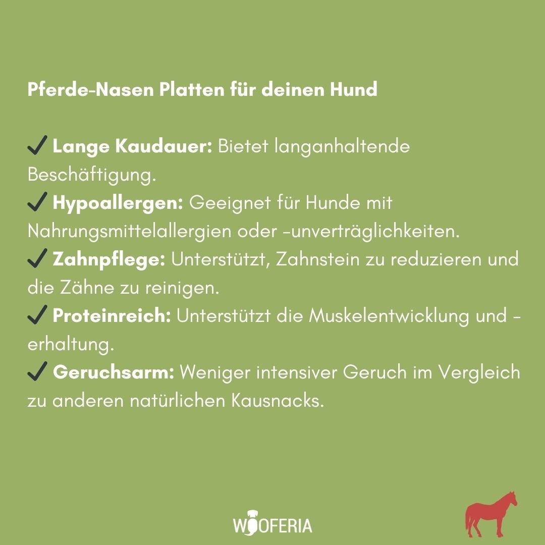 GrĂŒne Infografik mit weiĂem Text und HĂ€kchen zu 'PferdeâNasen Platten' (lange Kaudauer, hypoallergen, Zahnpflege, proteinrich
