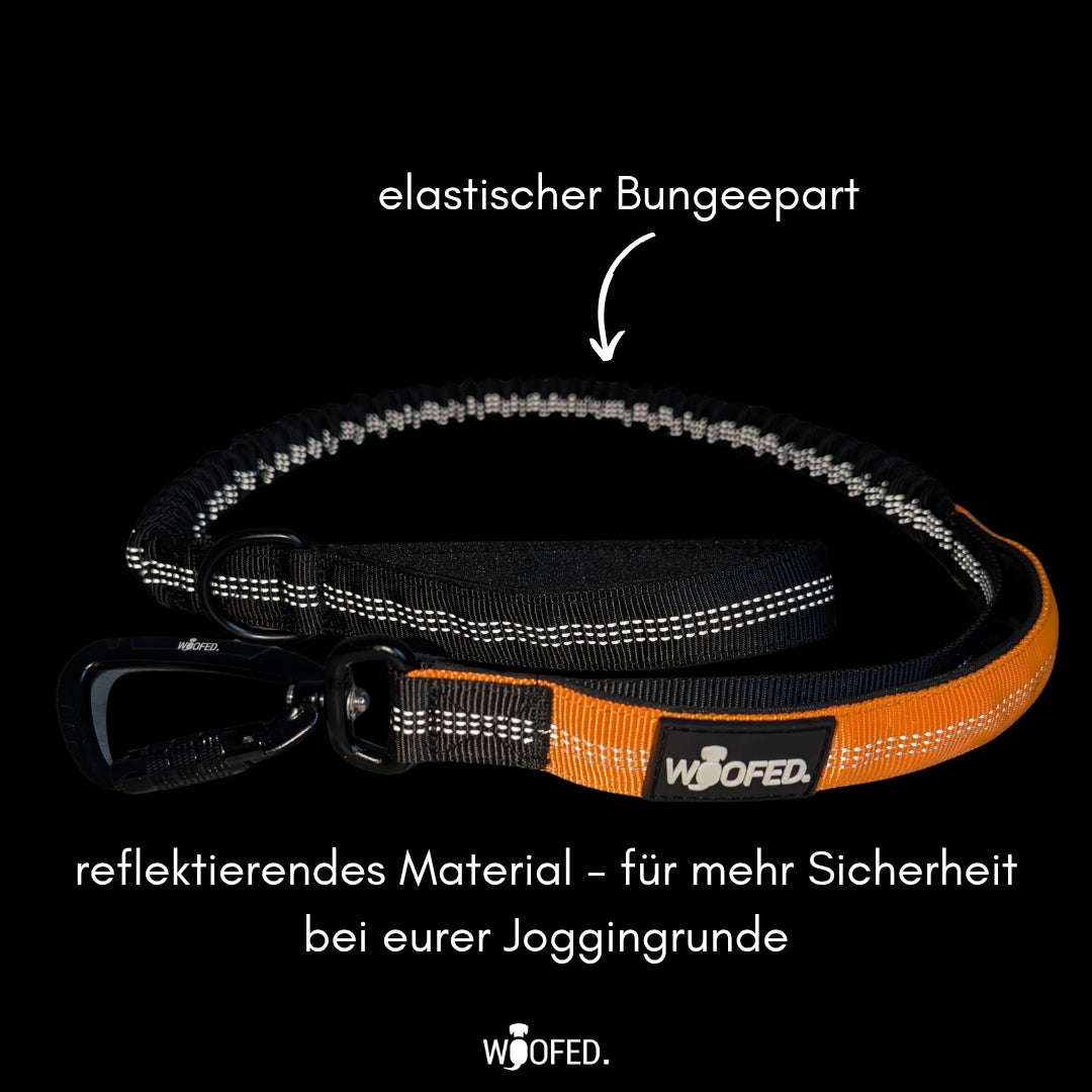 Draufsicht: schwarz-orange Bungee-Joggingleine mit elastischem, reflektierendem Mittelteil, gepolsterter Handschlaufe und sch